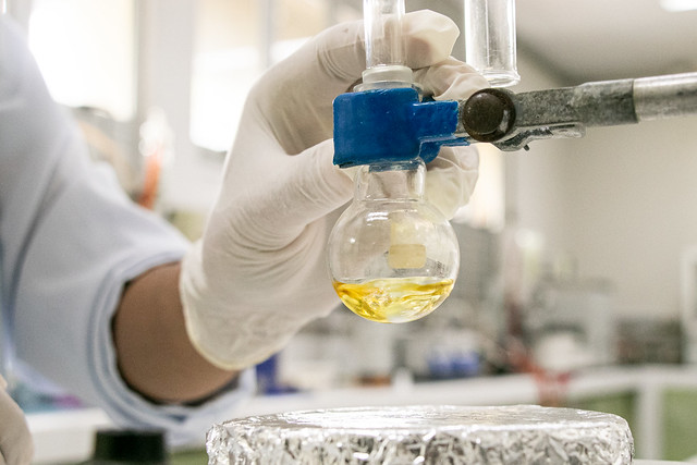 Pesquisadores foram contemplados nas modalidades Produtividade em Pesquisa (PQ), Produtividade em Pesquisa Sênior (PQ-Sr) e Desenvolvimento Tecnológico e Extensão Inovadora (DT) (Foto: Ribamar Neto/UFC) ft 20250926 ufcinova gr