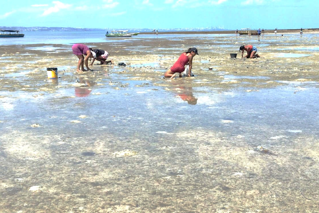 O objetivo foi compreender o cenário atual da mulher na pesca artesanal brasileira e de que modo elas estão representadas em termos de proteção legal, políticas públicas, programas direcionados, participação na gestão e em instâncias decisórias (Foto: Acervo dos pesquisadores) Imagem: Mulheres pescadoras em região de praia